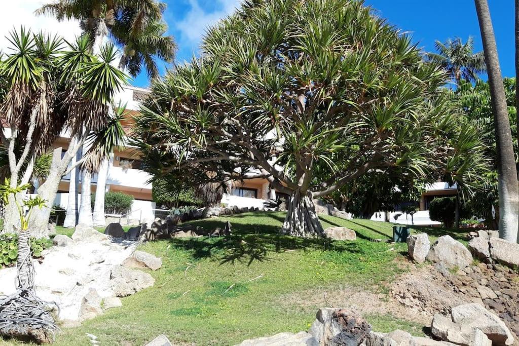 Apartment With Pool And Gardens Near The Coast San Miguel de Abona Dış mekan fotoğraf