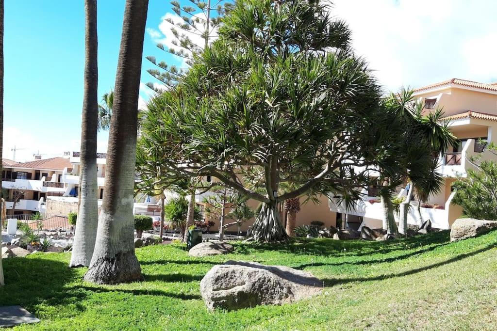 Apartment With Pool And Gardens Near The Coast San Miguel de Abona Dış mekan fotoğraf