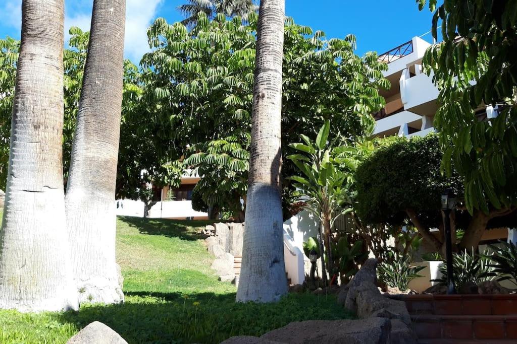 Apartment With Pool And Gardens Near The Coast San Miguel de Abona Dış mekan fotoğraf